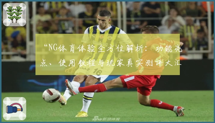 “NG体育体验全方位解析：功能亮点、使用教程与玩家真实测评大汇总”