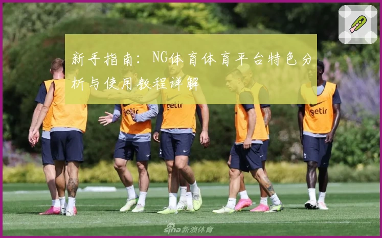 新手指南：NG体育体育平台特色分析与使用教程详解