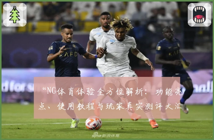 “NG体育体验全方位解析：功能亮点、使用教程与玩家真实测评大汇总”