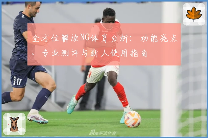 全方位解读NG体育分析：功能亮点、专业测评与新人使用指南
