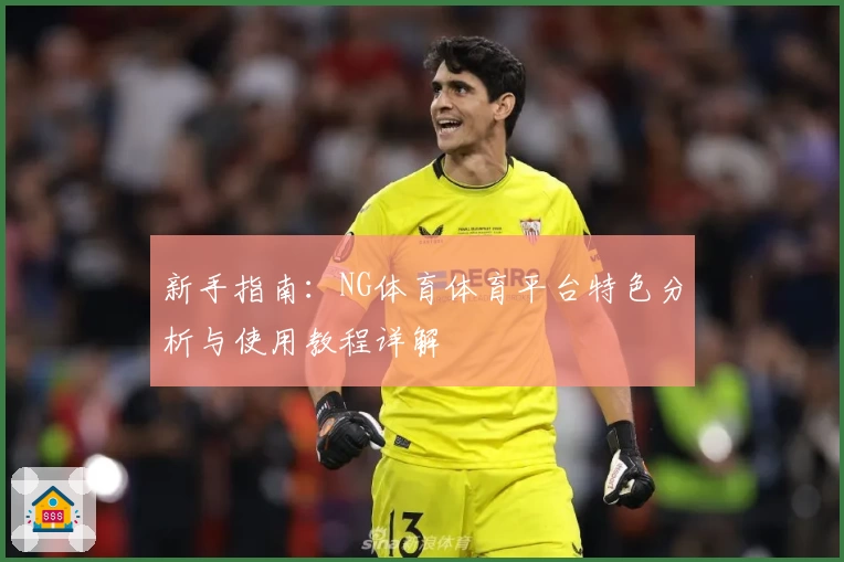 新手指南：NG体育体育平台特色分析与使用教程详解