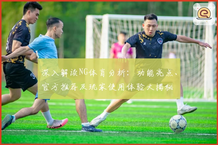 深入解读NG体育分析：功能亮点、官方推荐及玩家使用体验大揭秘