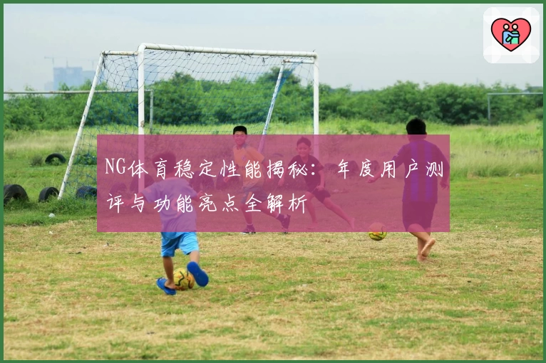 NG体育稳定性能揭秘:年度用户测评与功能亮点全解析