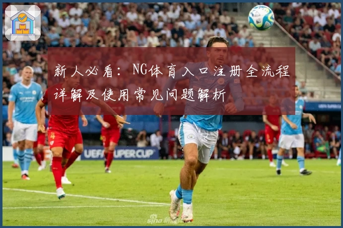 新人必看：NG体育入口注册全流程详解及使用常见问题解析