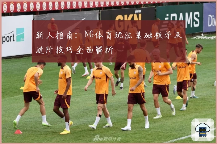 新人指南：NG体育玩法基础教学及进阶技巧全面解析